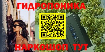 шишки Ипатово
