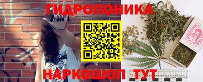 a pvp Ирбит